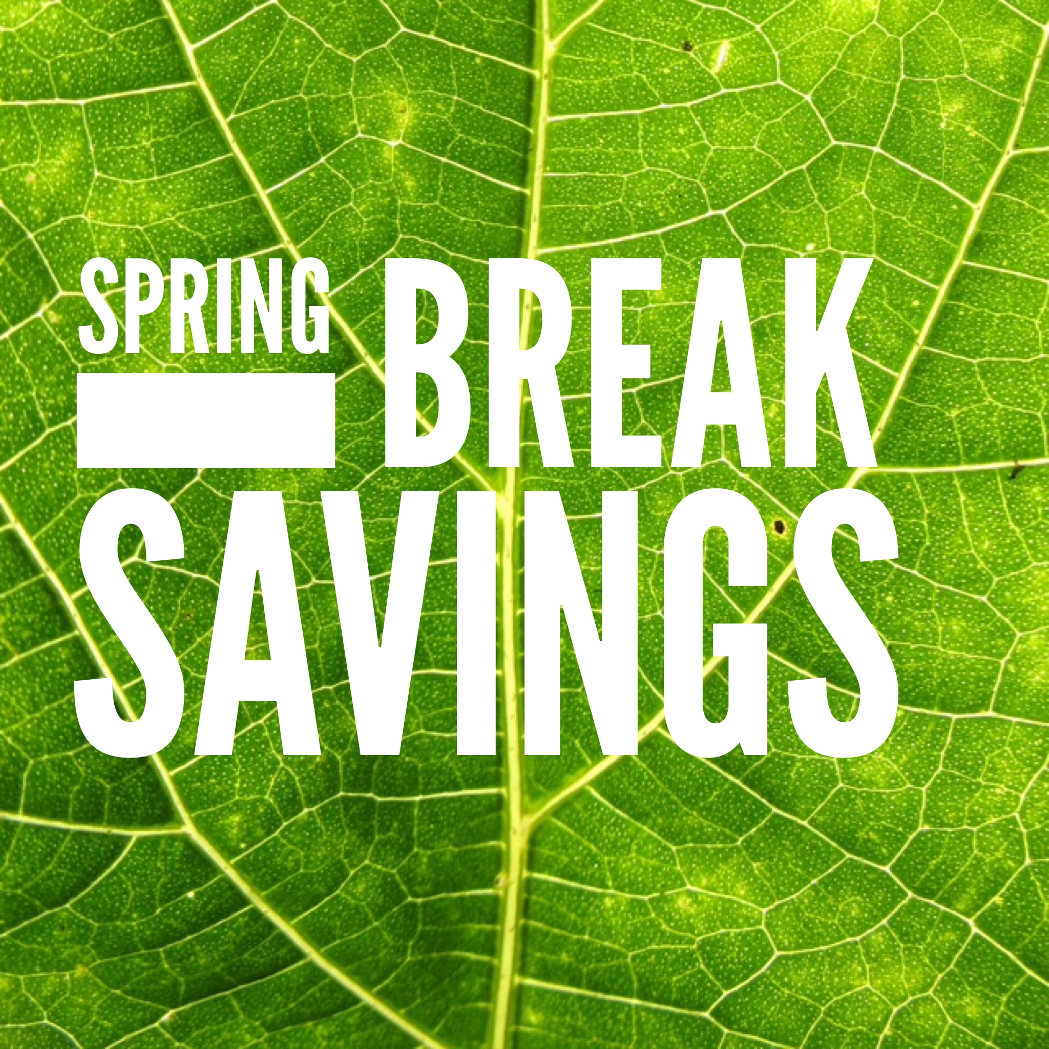 8 Ways To Save This Spring Break